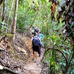 How-To-Stay-Safe-While-Hiking-In-Malaysia-6-1024×681