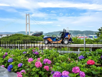 PHOTO–5th-Jangsaengpo-Hydrangea-Festival