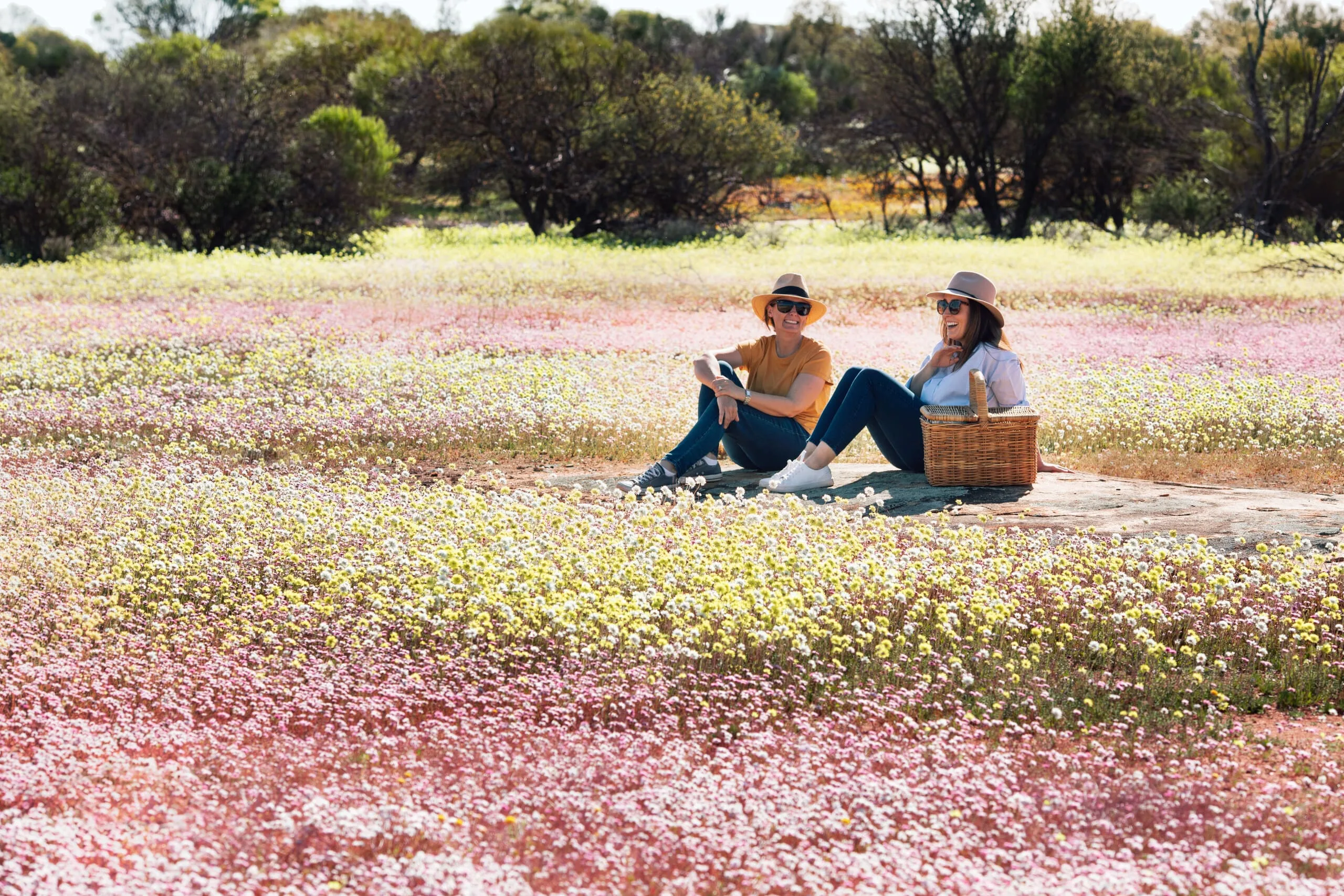 Wildflowers, Canna Reserve